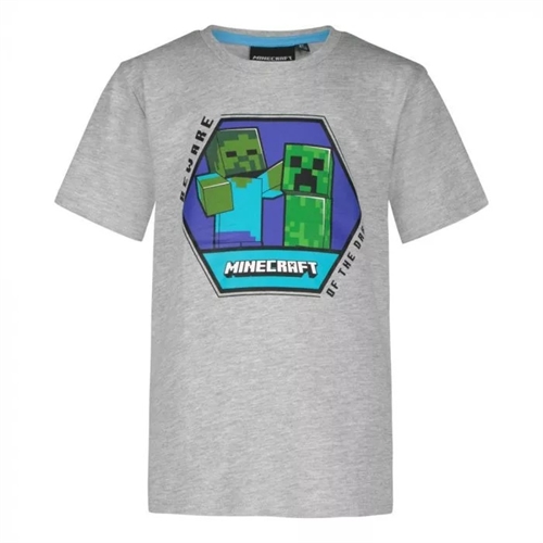 Minecraft T-shirt grå 