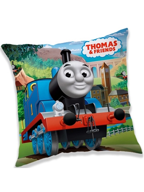 Thomas Tog decorpude 40 *40 cm