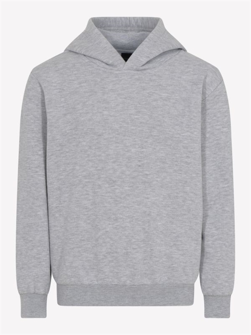 Kabooki sweatshirt grå , KBSHAYNE 100-912