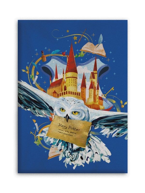 Harry Potter fleecetæppe 100*140 cm, Uglen Hedwig