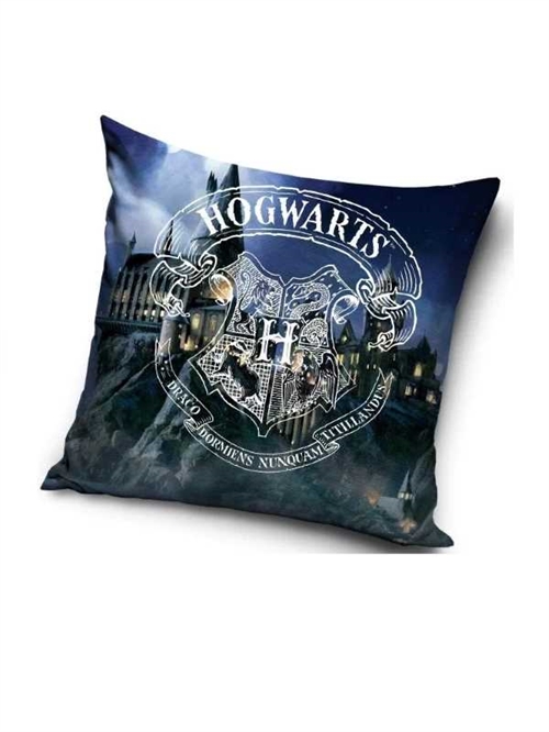 Harry Potter decorpude , Hogwarts Castle 40*40 cm