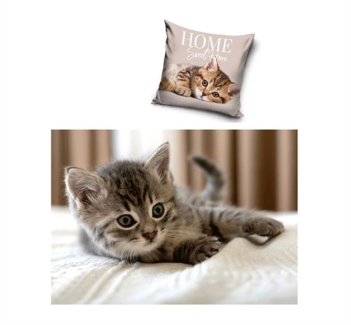 Fleecetæppe og decorpude med kat motiv