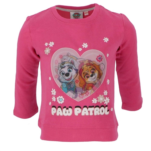 Paw Patrol sweatshirt, Skye-Everest