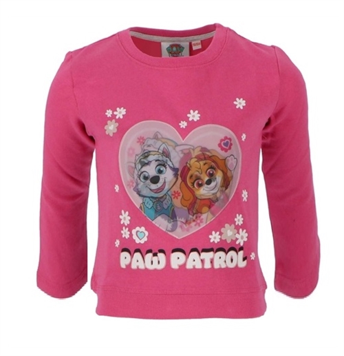 Paw Patrol sweatshirt, Skye-Everest
